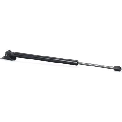 RIDEX - 219G0511 - Tył lewy - Grand Cherokee I - Zawór gazowy RIDEX - 219G0511 - Tył lewy - Grand Cherokee I - Zawór gazowy