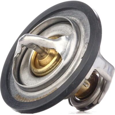 RIDEX Thermostat pour Fiat Peugeot Citroën Lancia - Thermostat pour véhicules - Publicité RIDEX Thermostat pour Fiat Peugeot Citroën Lancia - Thermostat pour véhicules - Publicité