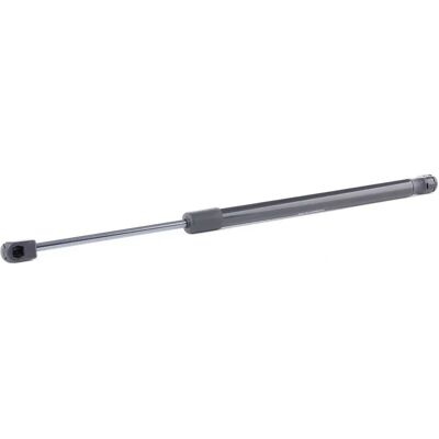 RIDEX 219G0890 Piston do hatchbacka - SWIFT III RIDEX 219G0890 Piston do hatchbacka - SWIFT III