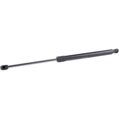 RIDEX Renault Gasveer Modus / Grand Modus - Gasfjäder, achterklep RIDEX Renault Gasveer Modus / Grand Modus - Gasfjäder, achterklep