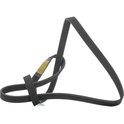 RIDEX A-Klasa W168 Poly-V Pasek - Pasek rozrządu RIDEX A-Klasa W168 Poly-V Pasek - Pasek rozrządu