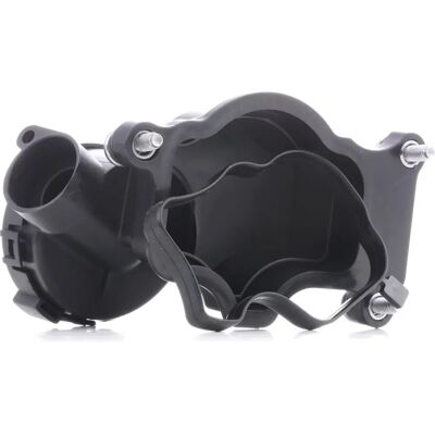 RIDEX Valvola BMW - 3886V0021 - Nero - Valvola RIDEX Valvola BMW - 3886V0021 - Nero - Valvola