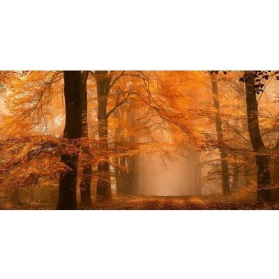 ARCHITECTS PAPER Fantastischer Wald Fototapete - Vlies ARCHITECTS PAPER Fantastischer Wald Fototapete - Vlies