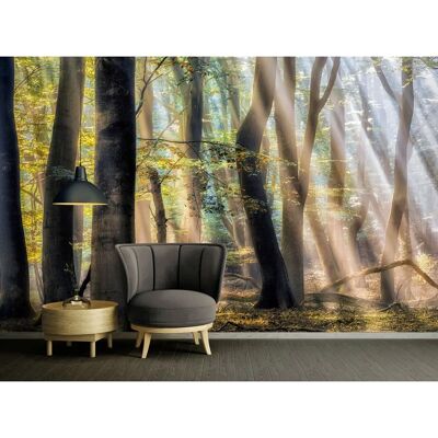 ARCHITECTS PAPER Der Verzauberte Wald - Natur Tapete ARCHITECTS PAPER Der Verzauberte Wald - Natur Tapete
