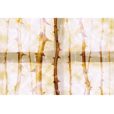 ARCHITECTS PAPER Thorn Art 2 - Blumen Wandbild ARCHITECTS PAPER Thorn Art 2 - Blumen Wandbild