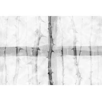 ARCHITECTS PAPER Atelier 47 Thorn Art 2 - Wandbild ARCHITECTS PAPER Atelier 47 Thorn Art 2 - Wandbild