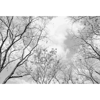 A.S. Creation Designwalls 2.0 DD119017 Papel Pintado - Gris, Negro, Blanco A.S. Creation Designwalls 2.0 DD119017 Papel Pintado - Gris, Negro, Blanco