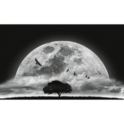 A.S. Creation Designwalls 2.0 DD119044 Wallpaper - Landscape - Modern Wall Decor A.S. Creation Designwalls 2.0 DD119044 Wallpaper - Landscape - Modern Wall Decor