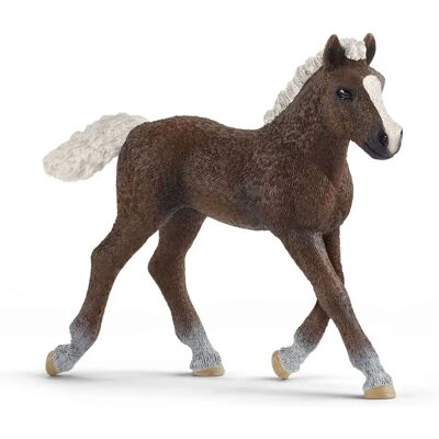 Schleich Šumavé Colt - Dětská Hračka Schleich Šumavé Colt - Dětská Hračka
