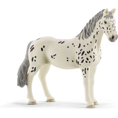 Figura giocattolo di giumenta Knabstrupper del Horse Club di Schleich - Giocattolo per bambini Figura giocattolo di giumenta Knabstrupper del Horse Club di Schleich - Giocattolo per bambini