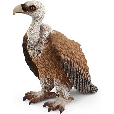 Avvoltoio Schleich - Figurina giocattolo per bambini - Vita Selvaggia Avvoltoio Schleich - Figurina giocattolo per bambini - Vita Selvaggia