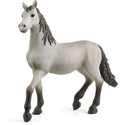 Jeune Cheval Pura Raza Española de Schleich - Figurine pour Enfants - Publicité Jeune Cheval Pura Raza Española de Schleich - Figurine pour Enfants - Publicité