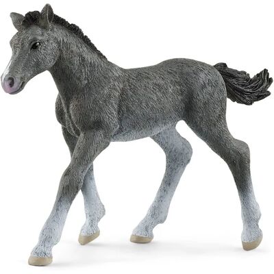 Puledro Trakehner di Schleich Horse Club - Figura giocattolo Puledro Trakehner di Schleich Horse Club - Figura giocattolo