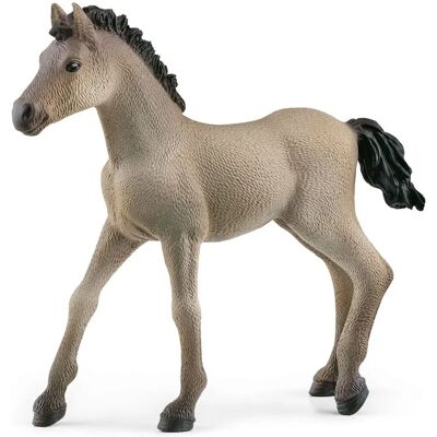 Figure Giocattolo Criollo Foal del Horse Club di Schleich - Unisex per Bambini Figure Giocattolo Criollo Foal del Horse Club di Schleich - Unisex per Bambini