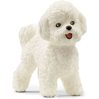 Figura Giocattolo Bichon Frise di Schleich - Compagno di Gioco Figura Giocattolo Bichon Frise di Schleich - Compagno di Gioco