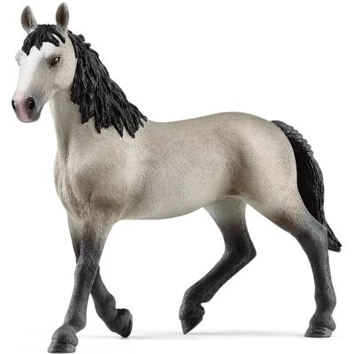 Schleich Horse Club Grå Selle Francais Hoppe - Legetøjsfigur Schleich Horse Club Grå Selle Francais Hoppe - Legetøjsfigur