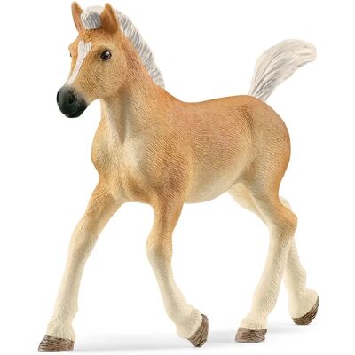 Figura giocattolo Haflinger puledro - Unisex - 5-12 anni Figura giocattolo Haflinger puledro - Unisex - 5-12 anni