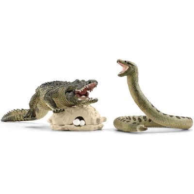 Conjunto de crocodilo e anaconda no pântano - Vida Selvagem Conjunto de crocodilo e anaconda no pântano - Vida Selvagem