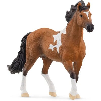 Schleich Horse Club Mangalarga Marchador Mânzul - Jucărie pentru Copii Schleich Horse Club Mangalarga Marchador Mânzul - Jucărie pentru Copii