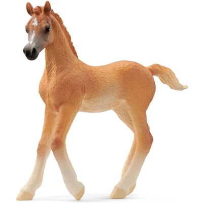 Figurina cal arab Schleich Horse Club - 13984 Figurina cal arab Schleich Horse Club - 13984