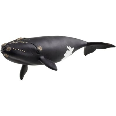 Figura ballena franca glacial Wild Life SCHLEICH 14878 colección Figura ballena franca glacial Wild Life SCHLEICH 14878 colección