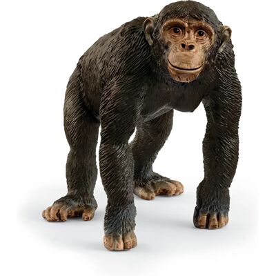 Schleich Vadon Élő Szimpánz - Gyerekjáték Schleich Vadon Élő Szimpánz - Gyerekjáték