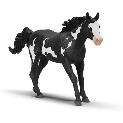 Schleich Horse Club 14900 Barne leketøyfigur Schleich Horse Club 14900 Barne leketøyfigur