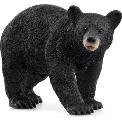 Schleich Svart Bjørn - Wild Life Leketøyfigur Schleich Svart Bjørn - Wild Life Leketøyfigur