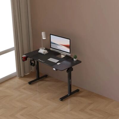 Pro.tec Höhenverstellbarer Schreibtisch - Schwarz, 120x60cm, Motor, Speicher Pro.tec Höhenverstellbarer Schreibtisch - Schwarz, 120x60cm, Motor, Speicher