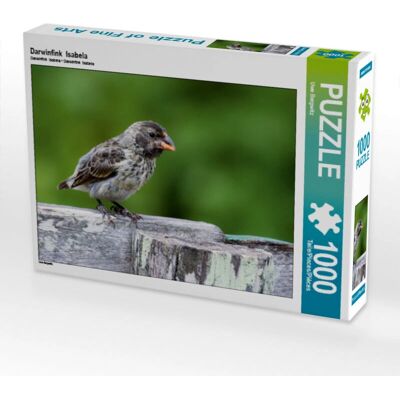 CALVENDO - Pinson de Darwin Isabela - 1000 Piezas - 64 x 48 cm - Puzzle CALVENDO - Pinson de Darwin Isabela - 1000 Piezas - 64 x 48 cm - Puzzle