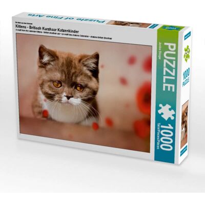 Calvendo - Chatons British Shorthair - 1000 Pieces - Puzzle Calvendo - Chatons British Shorthair - 1000 Pieces - Puzzle