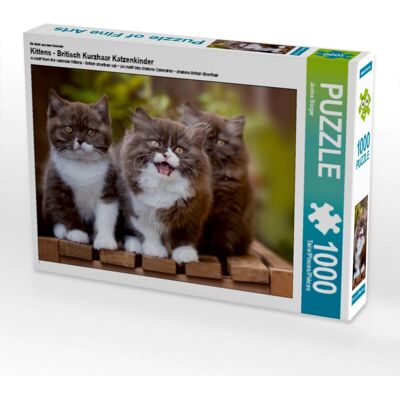 CALVENDO - Chatons British Shorthair - 1000 pieces - Puzzle CALVENDO - Chatons British Shorthair - 1000 pieces - Puzzle
