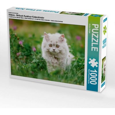 CALVENDO - Chatons British Shorthair - 1000 Stukjes CALVENDO - Chatons British Shorthair - 1000 Stukjes