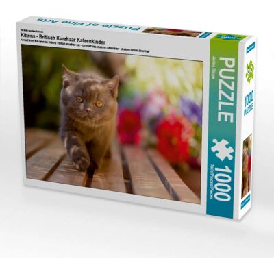 Calvendo - 4059477016966 - Gatitos - 1000 Piezas - Puzzle Calvendo - 4059477016966 - Gatitos - 1000 Piezas - Puzzle