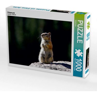 Calvendo - 4059477019509 - Chipmunk Calvendo - 4059477019509 - Chipmunk