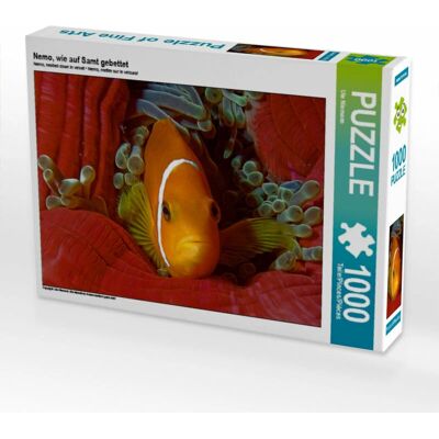 Calvendo - Nemo comme sur Velours - 64 x 48 cm Calvendo - Nemo comme sur Velours - 64 x 48 cm