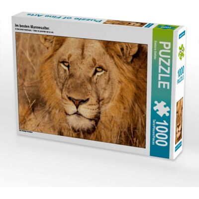 Calvendo - Puzzle dans la Fleur de l'âge - 1000 pieces - 64 x 48 cm - Puzzle Calvendo - Puzzle dans la Fleur de l'âge - 1000 pieces - 64 x 48 cm - Puzzle