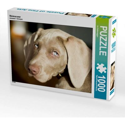CALVENDO - Weimaraner - 1000 Stukken - 64 x 48 cm - Puzzle CALVENDO - Weimaraner - 1000 Stukken - 64 x 48 cm - Puzzle