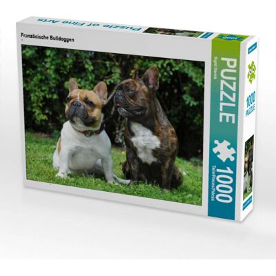 CALVENDO - Bouledogues français - 1000p - 64x48cm - Puzzle - Publicité CALVENDO - Bouledogues français - 1000p - 64x48cm - Puzzle - Publicité