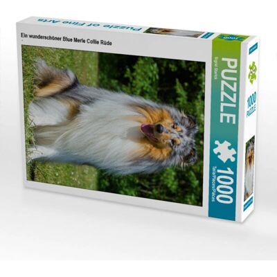 CALVENDO - 4059477629029 - Animali - 1000 pezzi - Puzzle CALVENDO - 4059477629029 - Animali - 1000 pezzi - Puzzle