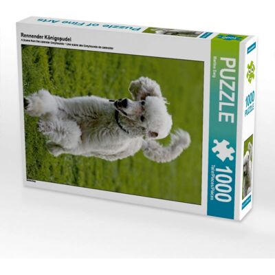 Calvendo - 4059478008076 - 1000 piezas - 640x480 mm - rompecabezas Calvendo - 4059478008076 - 1000 piezas - 640x480 mm - rompecabezas