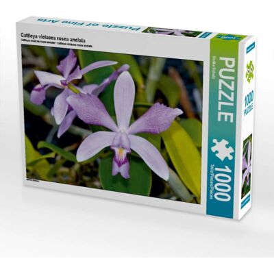 CALVENDO - Cattleya violacea rosea anelata - 1000 pezzi CALVENDO - Cattleya violacea rosea anelata - 1000 pezzi