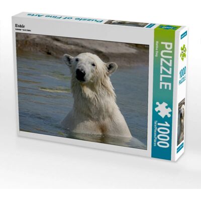 CALVENDO - Ours Polaire - 1000 piezas - 64 x 48 cm - Rompecabezas CALVENDO - Ours Polaire - 1000 piezas - 64 x 48 cm - Rompecabezas
