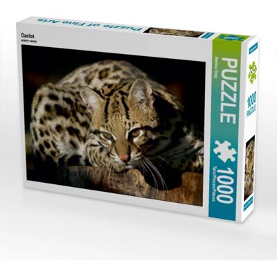 Calvendo - Ozelot - 1000 pièces - Puzzle - Publicité Calvendo - Ozelot - 1000 pièces - Puzzle - Publicité