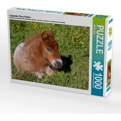 Calvendo - 4059478020610 - 1000 pezzi - 64 x 48 cm - Puzzle Calvendo - 4059478020610 - 1000 pezzi - 64 x 48 cm - Puzzle