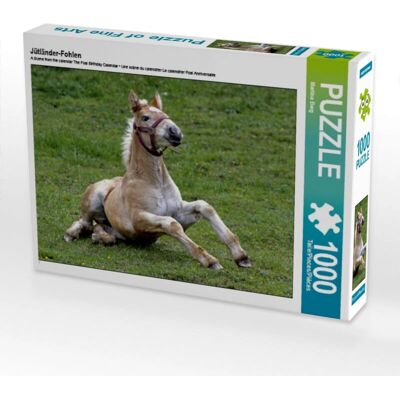 CALVENDO - Poulain du Jutland - 1000 Pezzi - Puzzle CALVENDO - Poulain du Jutland - 1000 Pezzi - Puzzle