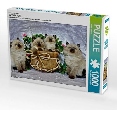 CALVENDO - Cats in HDR - 1000 pezzi - 64 x 48 cm - Puzzle CALVENDO - Cats in HDR - 1000 pezzi - 64 x 48 cm - Puzzle