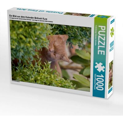 CALVENDO - Ein Bild aus dem Kalender Britisch Kurz - Puzzle CALVENDO - Ein Bild aus dem Kalender Britisch Kurz - Puzzle