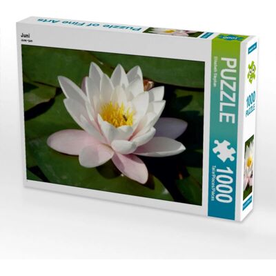 Calvendo - 4059478117525 - 1000 piezas - Puzzle Calvendo - 4059478117525 - 1000 piezas - Puzzle