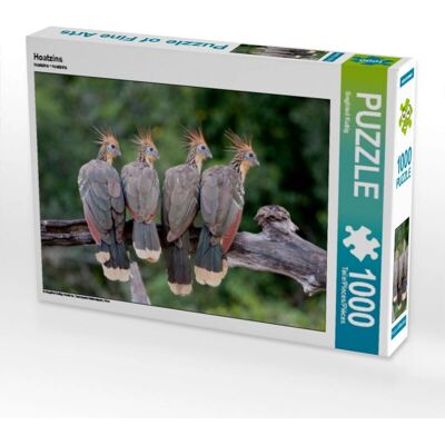 CALVENDO - 4059478186989 - 64 x 48 cm - 1000 piezas - Puzzle CALVENDO - 4059478186989 - 64 x 48 cm - 1000 piezas - Puzzle
